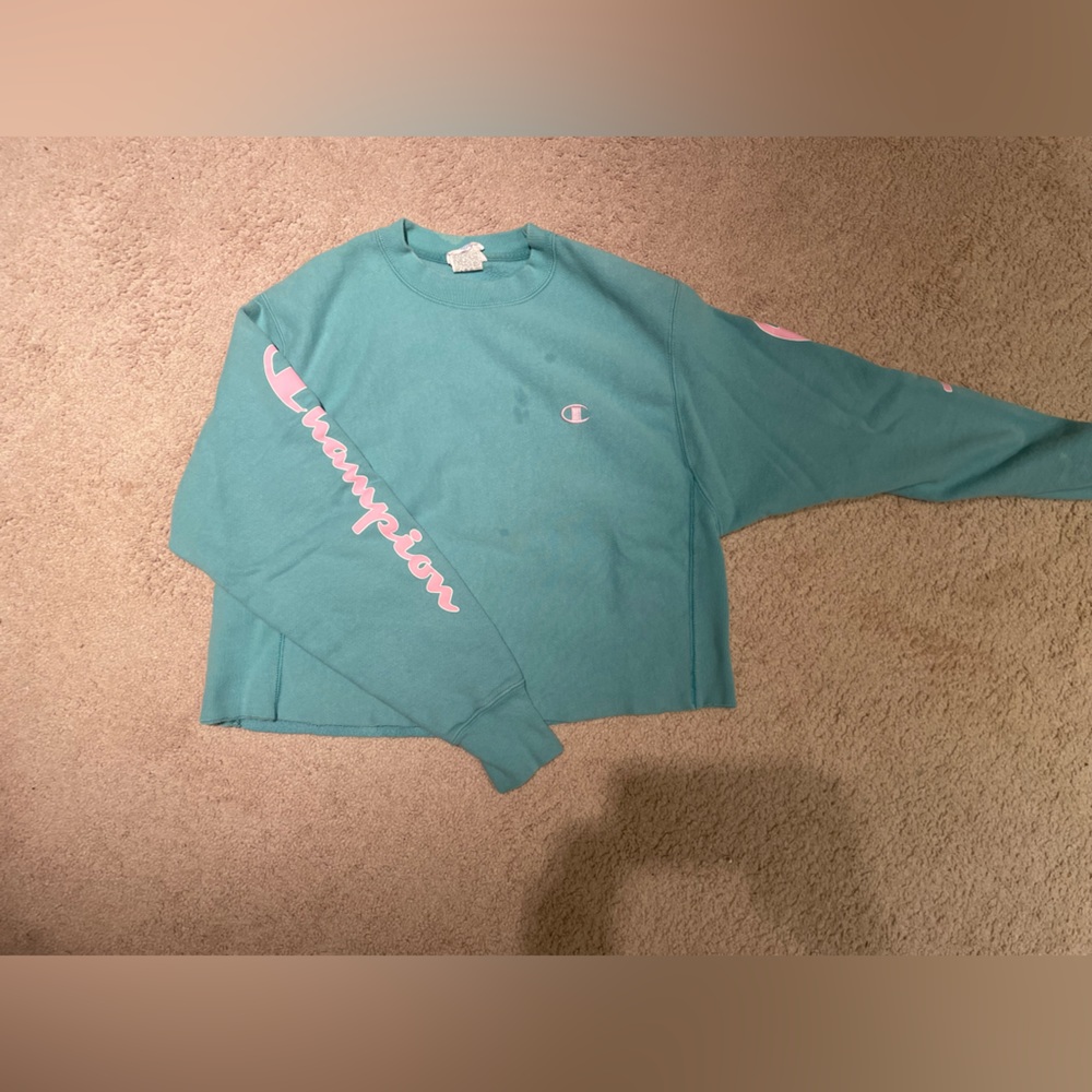 Champion cropped reverse weave crewneck, small stains shown in pictures
